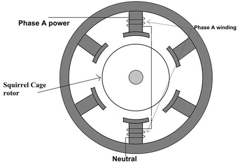 induction motor working principle single phase   phase induction motor