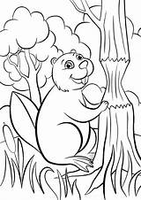 Beaver Coloring Pages Animals Color из все раскраски категории sketch template