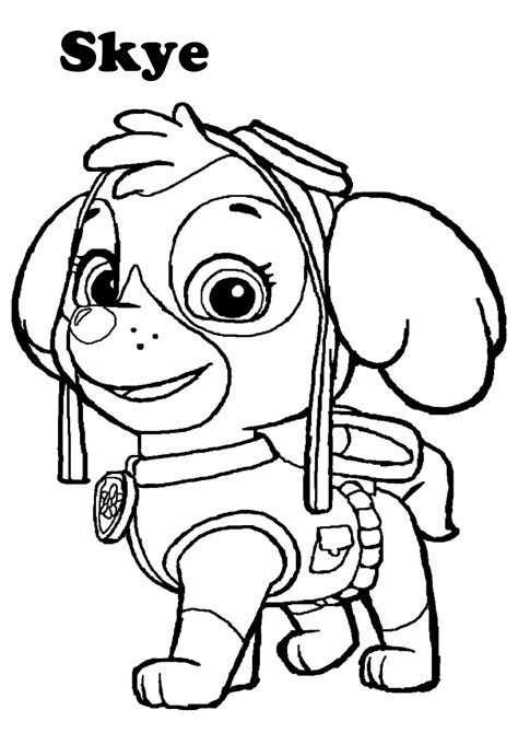 sky paw patrol coloring pages fun  educational activity  kids