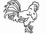 Rooster Coloring Pages Kids Soil Scratching Print Drawing Getcolorings Fight Colouring Getdrawings Printable Color sketch template