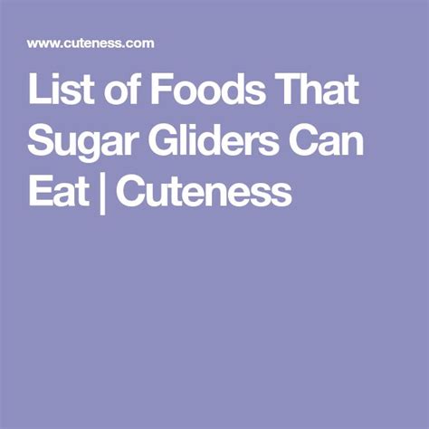 list  foods  sugar gliders  eat cuteness sugar glider food lists eat