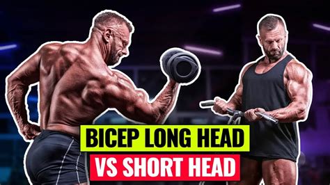 bicep long head  short head exercises  intense arm growth