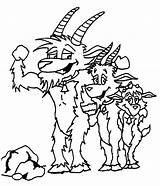 Coloring Billy Pages Goat Assembled Color Goats sketch template