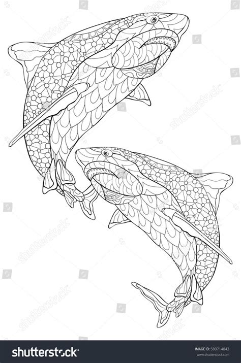 pin  coloring dolphin whale shark