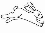 Bunny Hopping Peter Clipartmag sketch template
