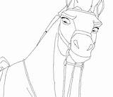 Lineart Stallion Cimarron Herd sketch template