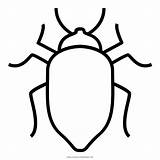 Escarabajo Beetle Ultracoloringpages sketch template