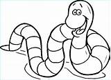 Vers Worm Photographie Earthworm Colouring Worms Getdrawings sketch template