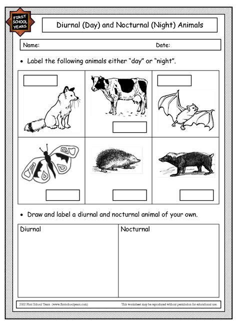 image result  nocturnal animals worksheets kindergarten nature