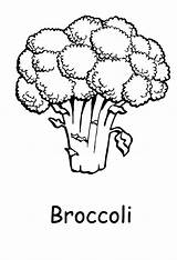 Broccoli Brokkoli Brocolli Fruits Bestcoloringpagesforkids Printables Niños Mewarnai Cauliflower Sagebrush Alimentos Popular Webstockreview sketch template