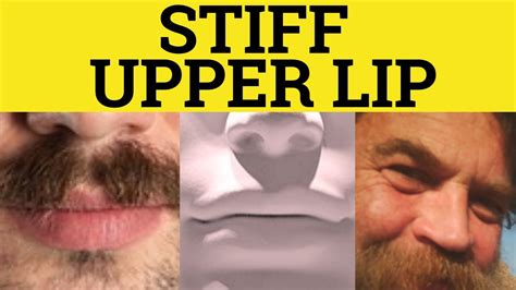 stiff upper lip meaning stiff upper lip examples stiff upper lip vocabulary builder