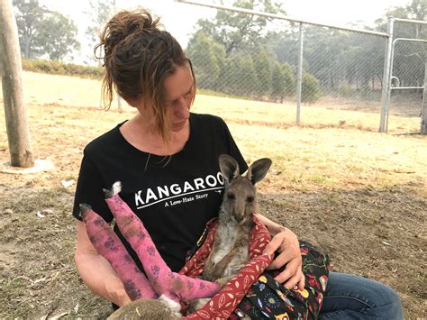 video footage shows dozens  kangaroos fleeing bushfires  australia video