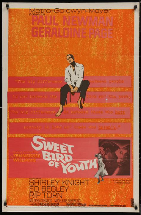 Sweet Bird Of Youth Vintage Movie Poster