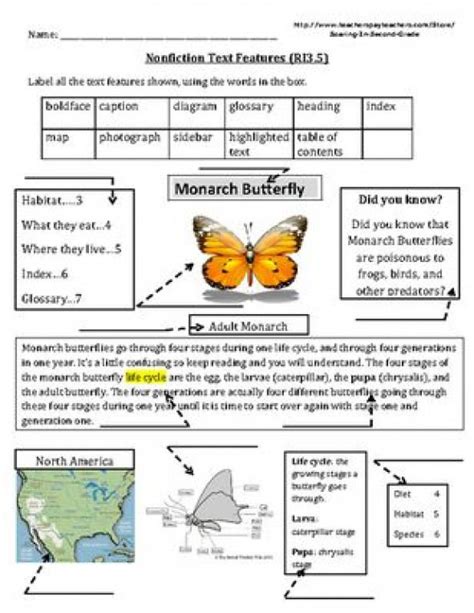 text features worksheets  grade photo album images  phootoo