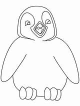 Penguin Coloring Pages Cartoon sketch template