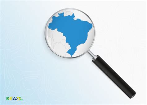 search engine  brazil market share    conversion