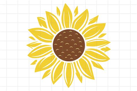 sunflower svg  png cut file  cricut  cut files design