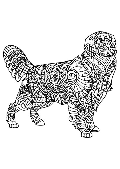 chien labrador dogs kids coloring pages