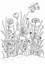 Coloring Blumenwiese Blumen Vorlage Wiese Ausmalbilder Meadow Flower Malvorlagen Coloriage Fleurs Und Sommerliche Malen Summer Flowers Pages Imprimer Frühling Ausmalbild sketch template