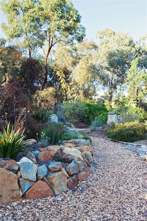 australian native plants  rock gardens   survive  heat home design ideas