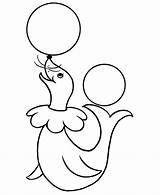 Circus Coloring Pages Pre Kids Seal Printable Animal Drawings Clown Toddlers Simple Kindergarten Colouring Sheet Drawing Animals Color Clipart Theme sketch template