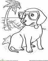 Mewarnai Anjing Sketsa Koleksi Anda Berharap Adanya Sangat Memiliki Bagi Dapat Bermanfaat Khususnya Postingan sketch template