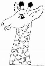 Coloring Pages Color Animal Giraffe Giraffes Printable Sheets Found sketch template