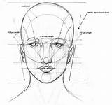 Face Proportion Draw Learn Drawing Proportions Head Human Anatomy Tutorial Figure Choose Board Guide Lessons Faces Drawings sketch template