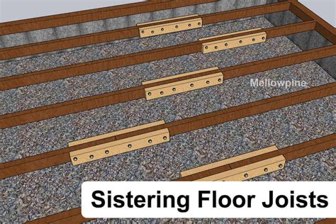 reinforce floor joists  plywood carpet vidalondon