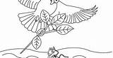 Ant Dove Coloring Aesop Fables Kids sketch template