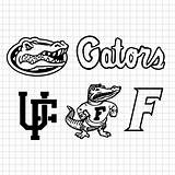Gator Gators  sketch template
