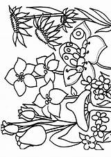 Kolorowanki Wiosna Colorat Primavara Colorir Druku Kolorowanka Rysunki Dzieci Momjunction Darmowe Drukowania Wydrukowania Roku Artykuł Eduzabawy Pory Desenhar Feito sketch template