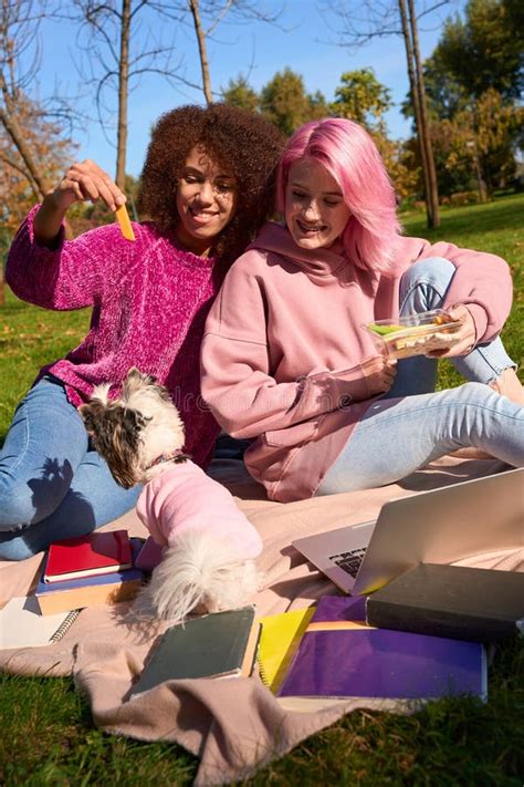 Two Women Enjoying Picnic On Grass In Public Park Stock Image Image