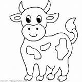 Cow Coloring Pages Cute Little Cows Cartoon Calf Drawing Simple Animals Outline Color Longhorn Printable Animal Farm Print Colouring Kids sketch template