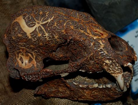 carved bear skull jarek zok flickr