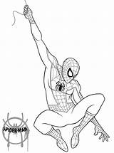 Spider Miles Morales Coloring Verse Pages Man Into Kids Printable Print sketch template