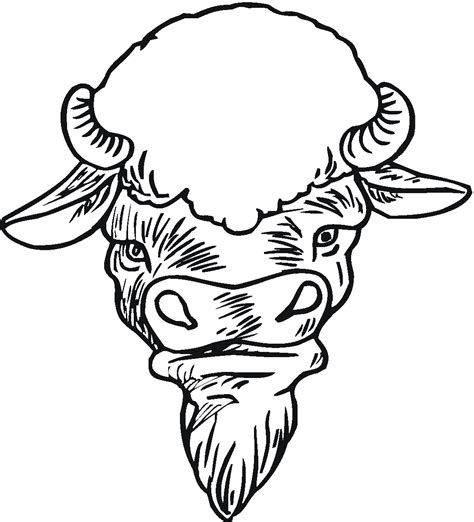 buffalo  bison coloring pages