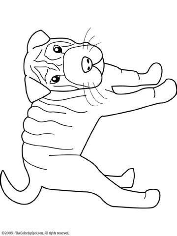 shar pei audio stories  kids  coloring pages colouring