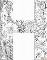 Letters Adults Plants Supercoloring Itl Zentangle Martinchandra sketch template