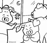 Pigs Three Little Coloring Coloringcrew sketch template