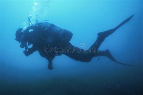 scuba diver swimming underwater explores reef  examines seabed stock image image  leisure