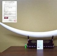 巨象 世界樹 牙飾り に対する画像結果.サイズ: 187 x 185。ソース: aucview.aucfan.com