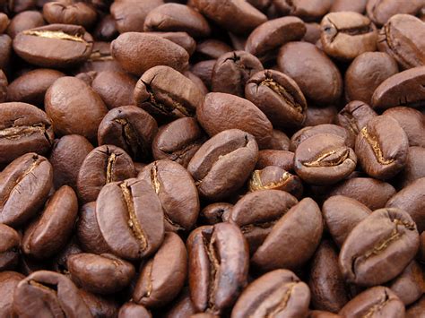 lêer roasted coffee beans wikipedia