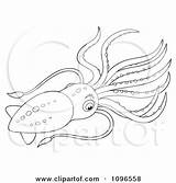 Squid Dissection sketch template