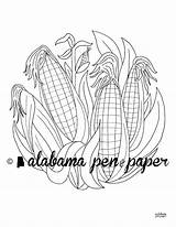 Corn sketch template