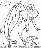 Dolphin Mermaid Coloring Pages Little Printable sketch template