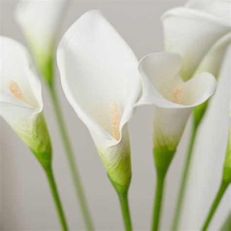 white artificial calla lily stems stems branches floral supplies