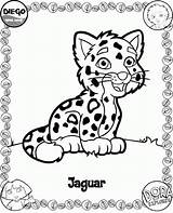 Jaguar Kleurplaat Harimau Kleurplaten Ausmalbild Kertas Mewarna Kanak Halaman Coloringhome Haiwan sketch template