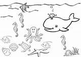 Sea Under Coloring Pages Printable Drawing Color Print Drawings Getdrawings Star Getcolorings Kids Without Designlooter sketch template