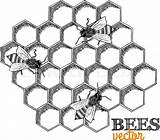 Honeycomb Vector Grid Beehive Bees Colourbox sketch template